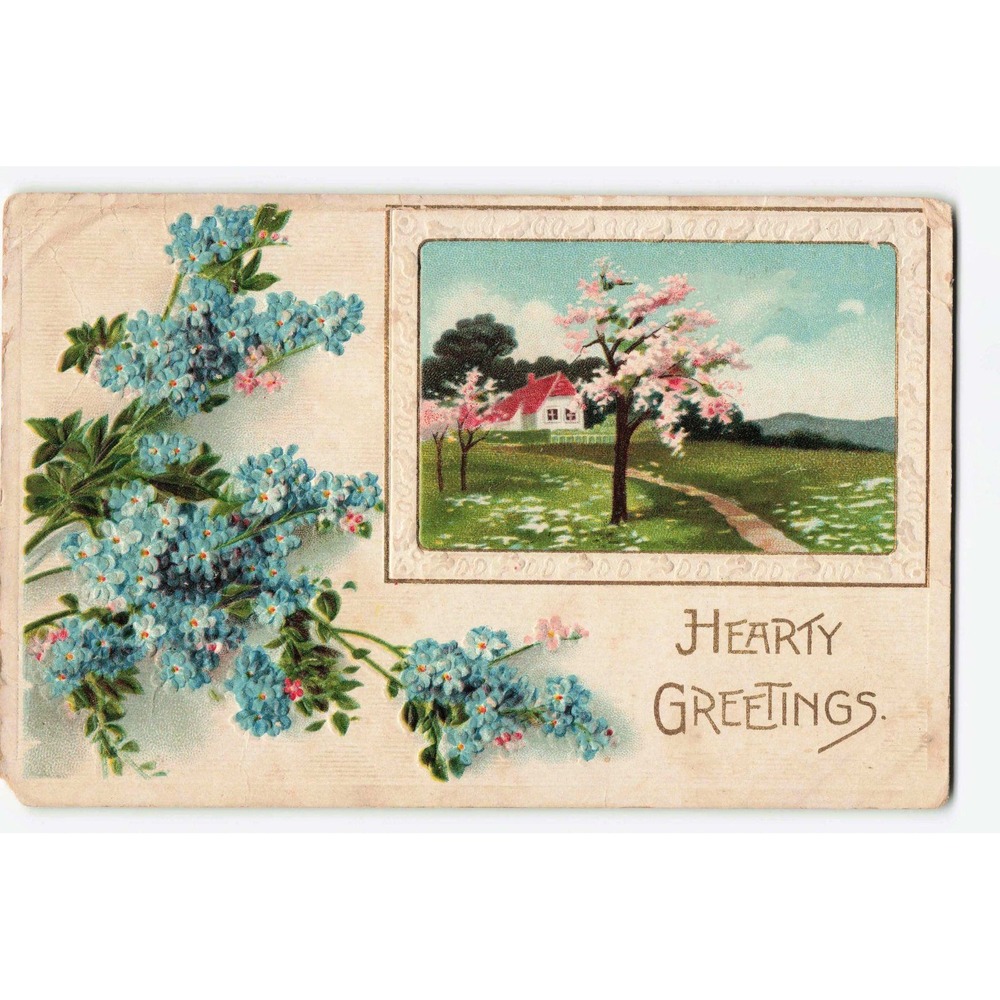 Vintage Hearty Greetings Postcard Series B1111 Landscape Floral Forget-Me-Nots